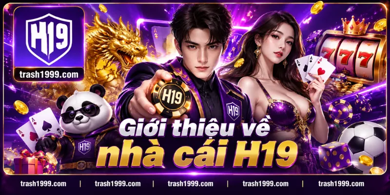 gioi-thieu-ve-h19